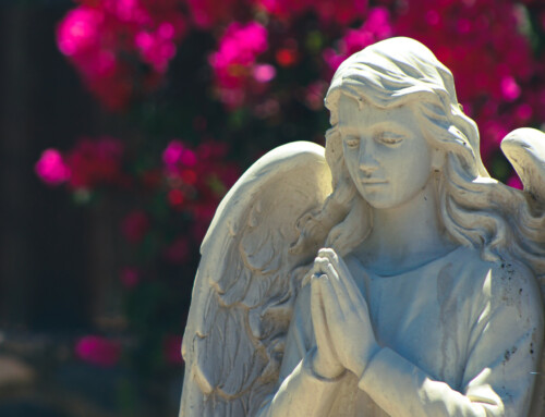 Place aux anges !