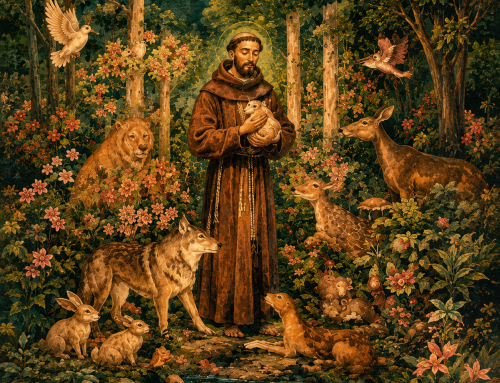 Année jubilaire de saint François